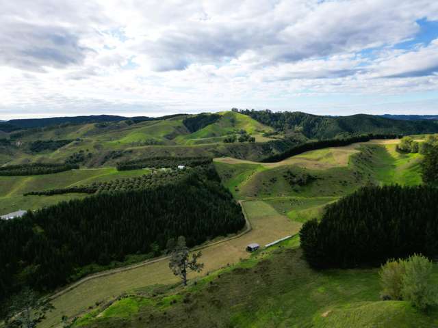 1/461 Otamarakau Valley Road Pukehina_4