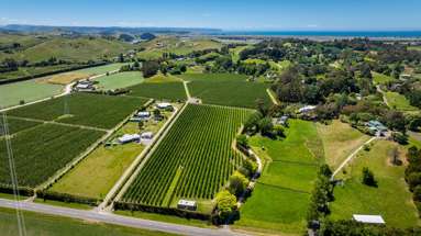 490 Puketitiri Road, Puketapu_2