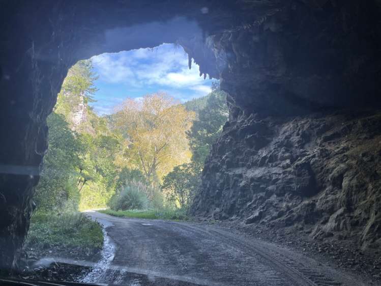 3715 State Highway 3 Awakino_17