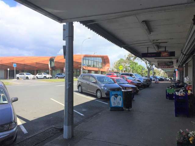 133 Line Road Glen Innes, Auckland City_1