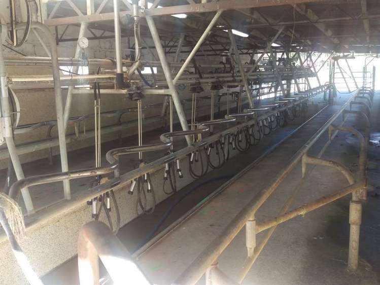 648 Scotsman Valley Road Tauwhare_2