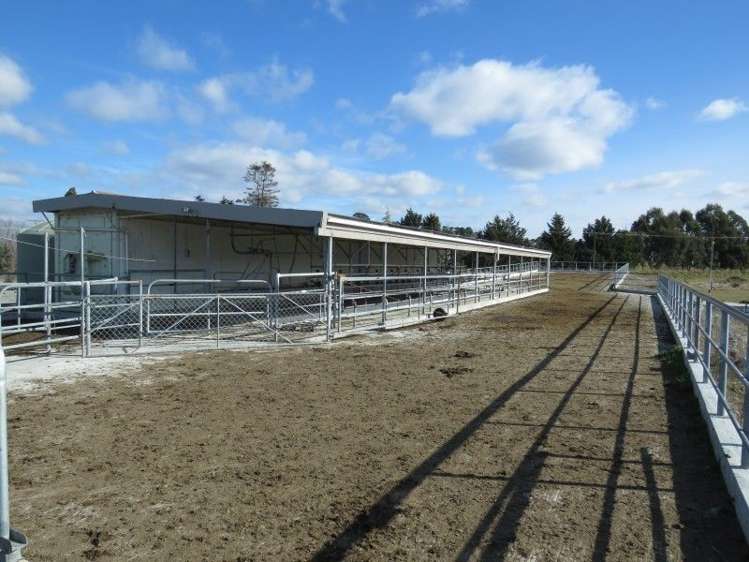 1035 Newland Road Clandeboye_17