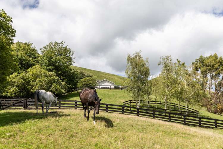 134 Cohrs Road Poukawa_28