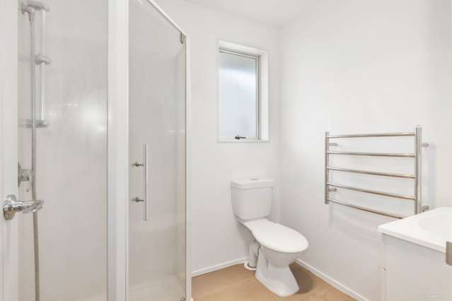 15a Elizabeth Street Tuakau_4