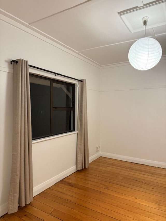 66 Old Mill Road Grey Lynn_3