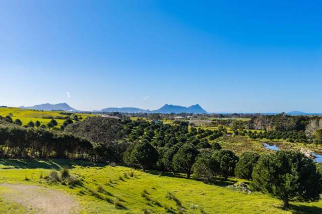 173 Prescott Road Ruakaka_3