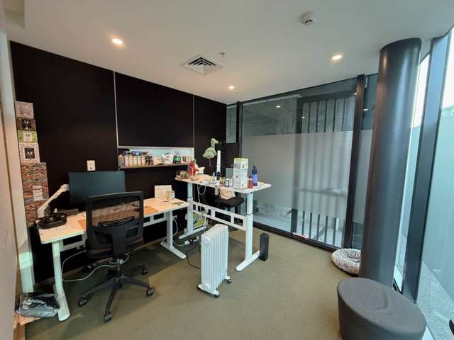 5 Crummer Road Grey Lynn_2