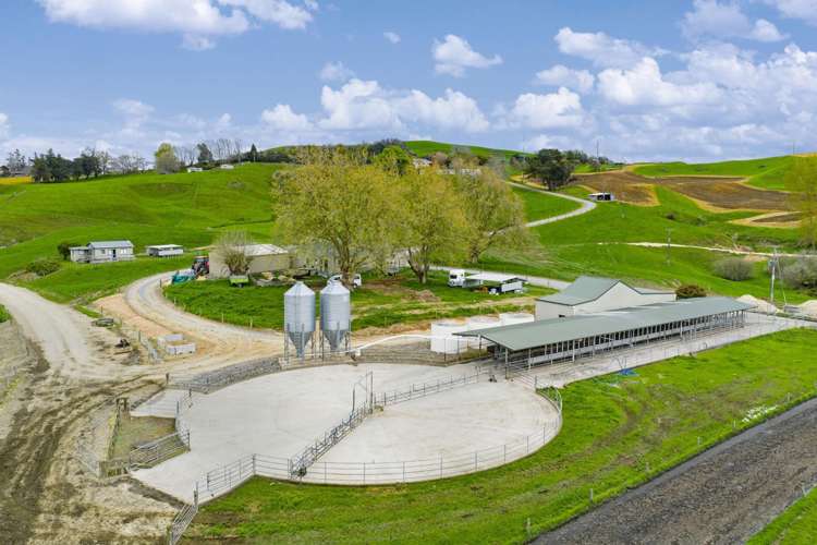 310 Paparamu Road Piarere_8