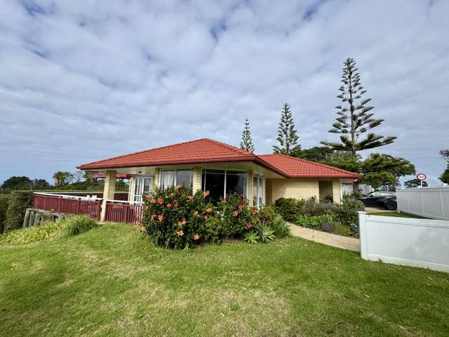 Spacious house with seaview