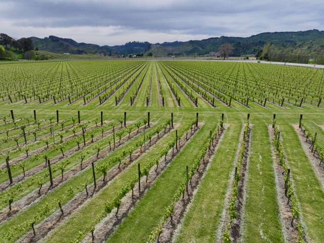 2057 Matawai Road Te Karaka_3