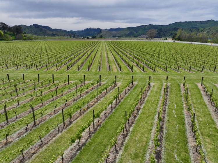 2057 Matawai Road Te Karaka_3