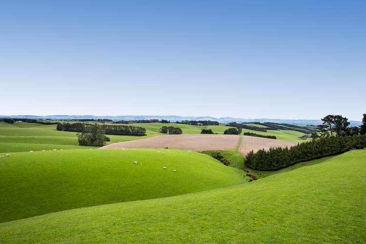 1152 Waitahuna West Road Lawrence_6