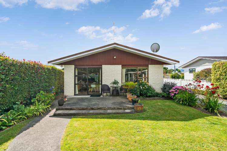 113 West Street Greytown_14