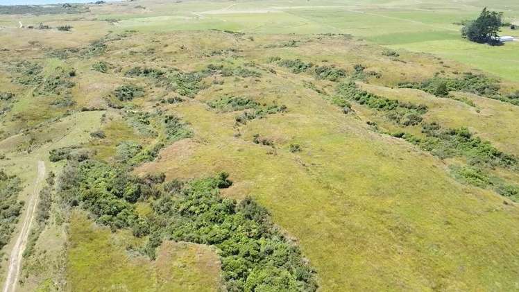 980 Wilsons Lead Road Cape Foulwind_13