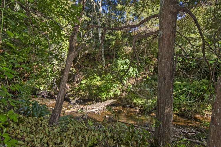 16 Halcyon Place Whau Valley_17