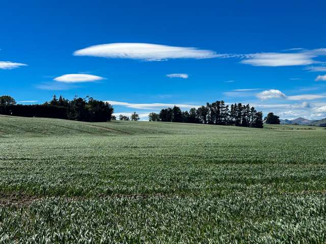 909 Nine Mile Road Riversdale_4