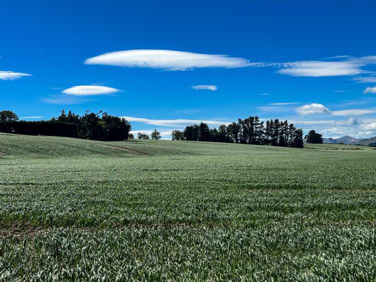 909 Nine Mile Road Riversdale_4