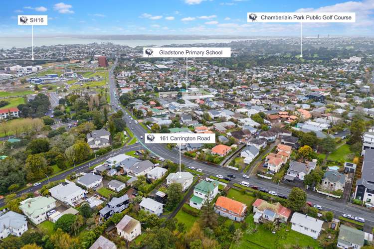 161 Carrington Road Mount Albert_9