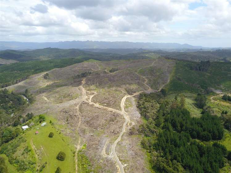 Taheke Road Horeke_2