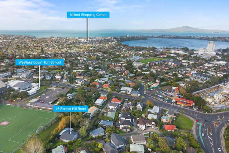 16 Forrest Hill Road Forrest Hill_25