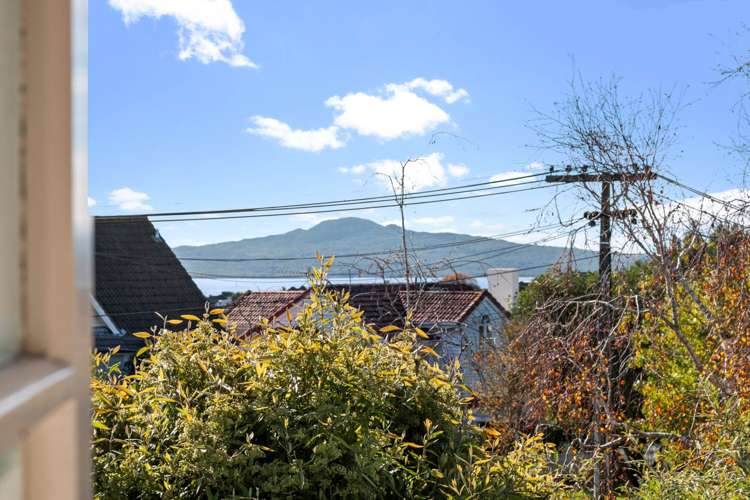 24 Dudley Road Mission Bay_5