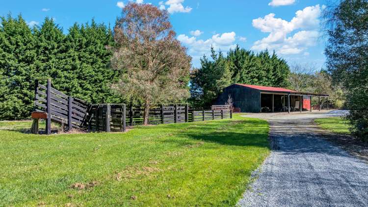 2469 Tram Road West Eyreton_39