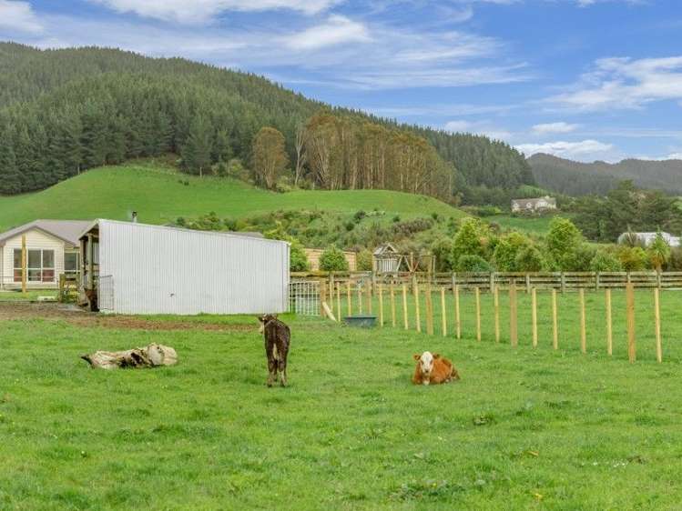 31d Kakariki Way Whitemans Valley_19