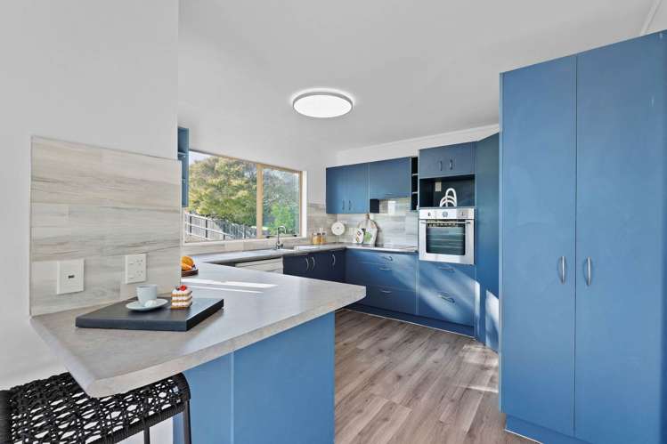 27a Olsen Avenue Hillsborough_9