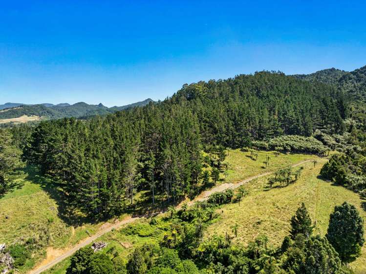 348D Rea Road Katikati_24