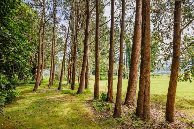 115 Settlers Way Okaihau_9