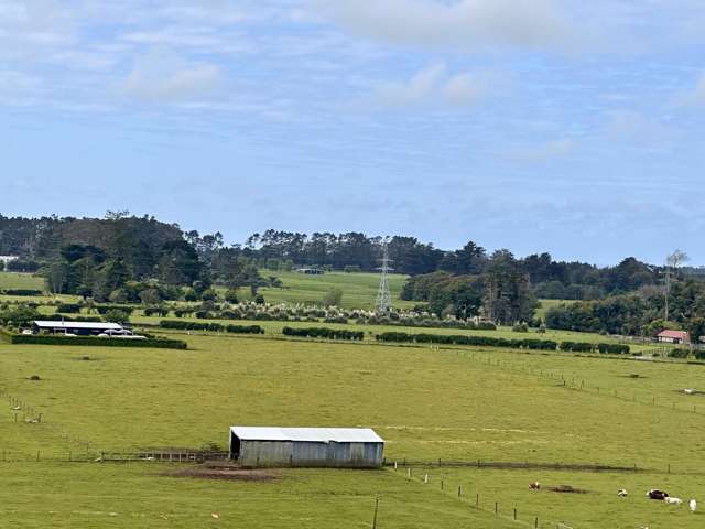 Prime flat land at Tikorangi