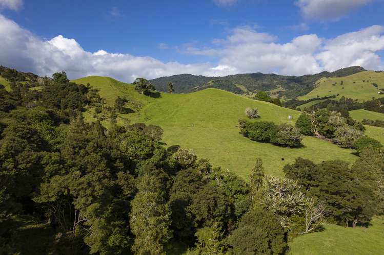 73 Takahue Saddle Road Kaitaia Surrounds_8