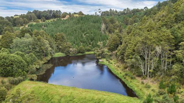 287 Hukerenui Road Ruatangata_3