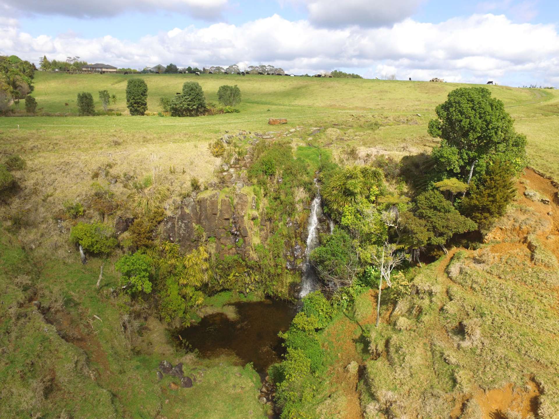 Waipapa Road Kerikeri_0