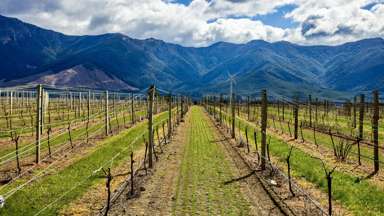 4816 State Highway 63_2