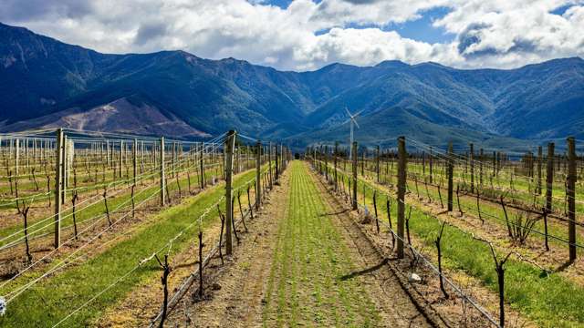 4816 State Highway 63 Wairau Valley_2