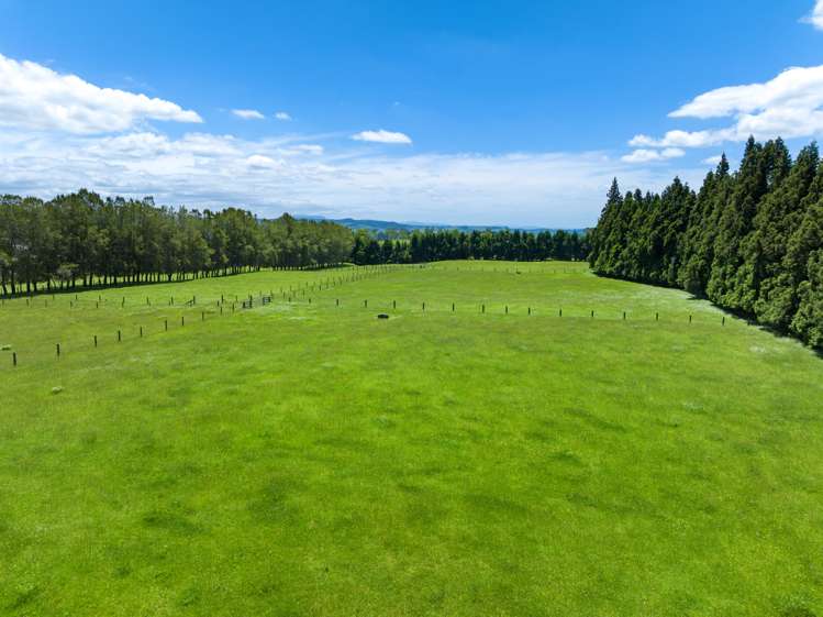 857 Mclaren Falls Road Kaimai_26