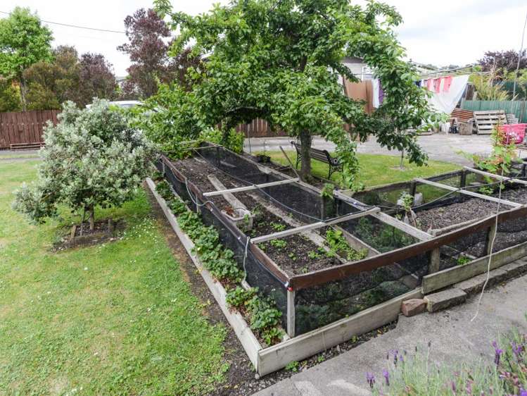 16 Montgomery Street Waipukurau and Surrounds_10