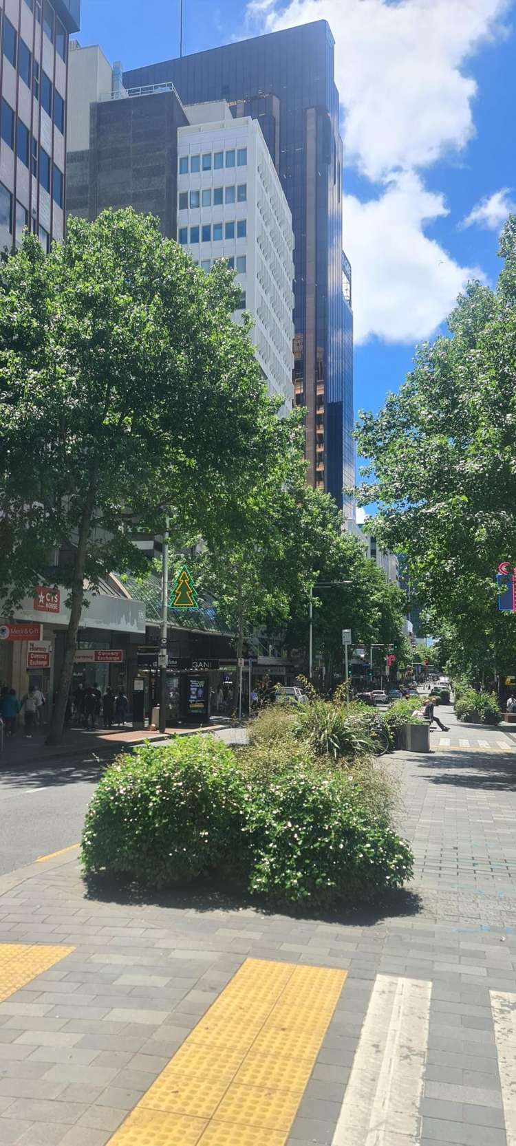 Address withheld Auckland Central_1