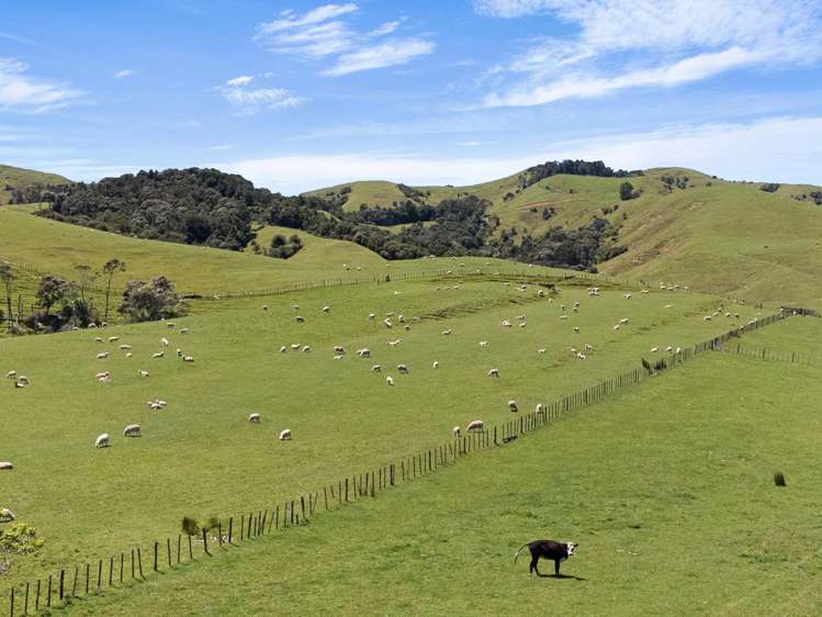 29 Mataikokako Loop Kawakawa Bay_22