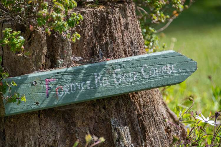 370 Fordyce Road Helensville_41