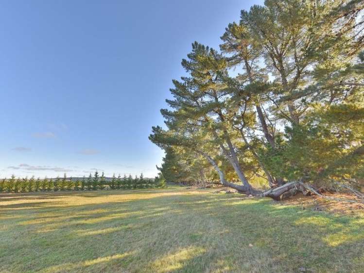 315 Foothills Road Okuku_15