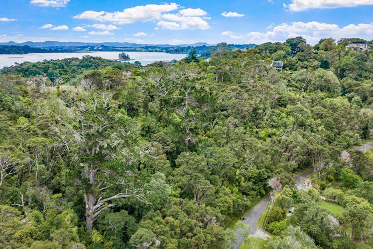 20 Young Street Mahurangi East_5