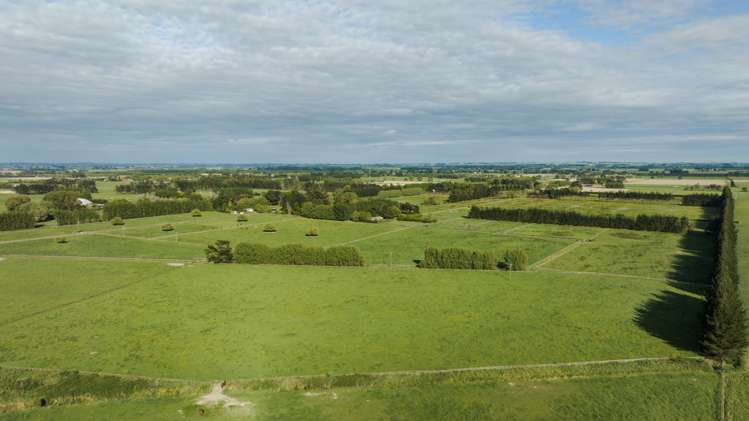 311 Kairanga Bunnythorpe Road Bunnythorpe_24