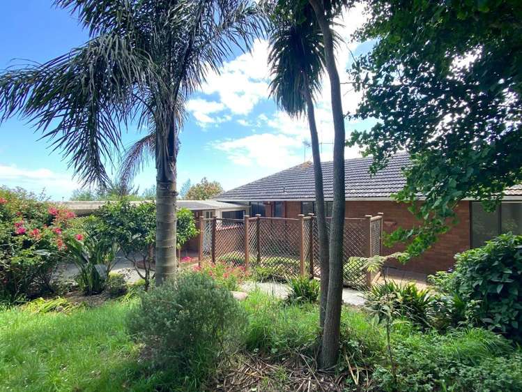 444 Razorback Road Pokeno_14