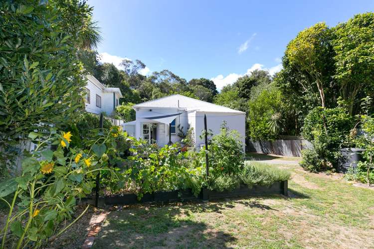 424a Adelaide Road Berhampore_15