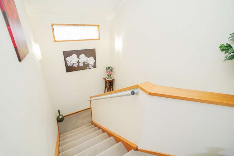 59 Helmsdale Street Waverley_19