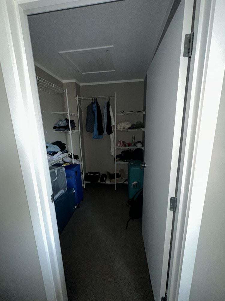 96B Clyde Street Hamilton East_5