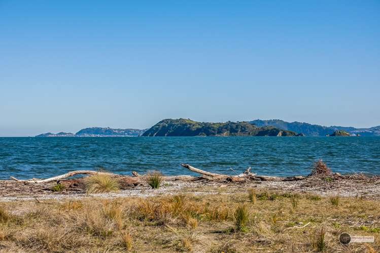 231 The Esplanade Petone_18