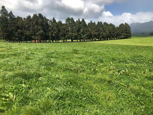 88 Strong Road Te Pahu_4